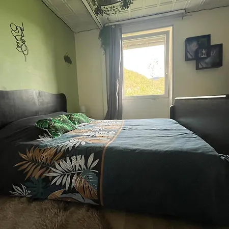 L'appart Avec Jardin Appartamento Malmerspach